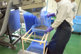 丁寧に素早く炊き込み