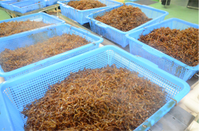 徹底した衛生面管理で安全に