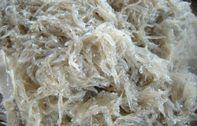 淡路島岩屋漁港で水揚げされた新鮮なちりめん