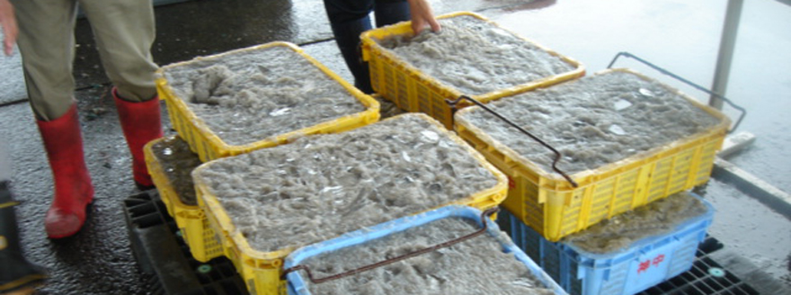 ヒガシネ食品株式会社本社