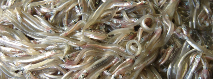 ヒガシネ食品株式会社本社